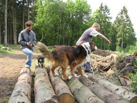 Das tierische Fitnesstraining Das tierische Fitnesstraining