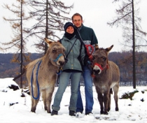 Eseltrekking im Teutoburger Wald