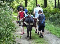 Natur- und Widnisbezogene Therapie mit Eseln